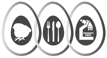 Image6.gif (26856 bytes)