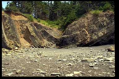 syncline in Horton Bluff Formation