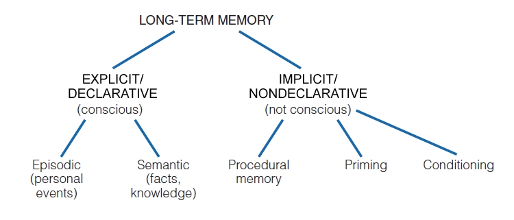 long-term memory