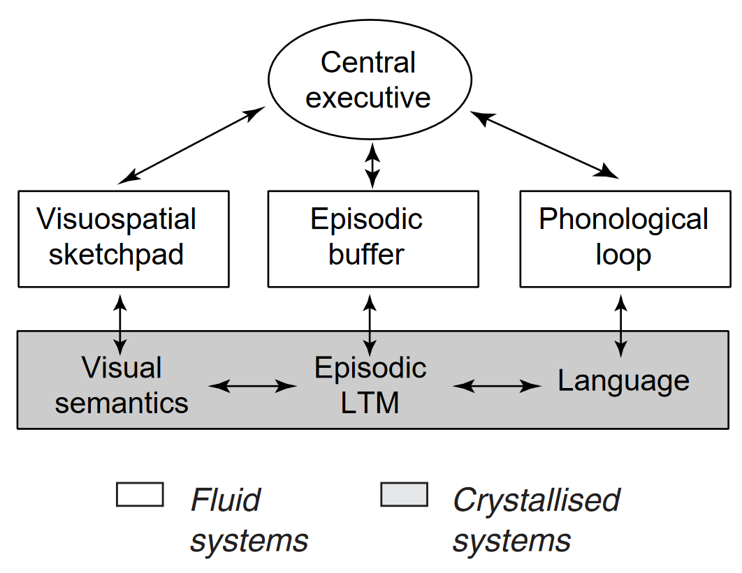 working memory