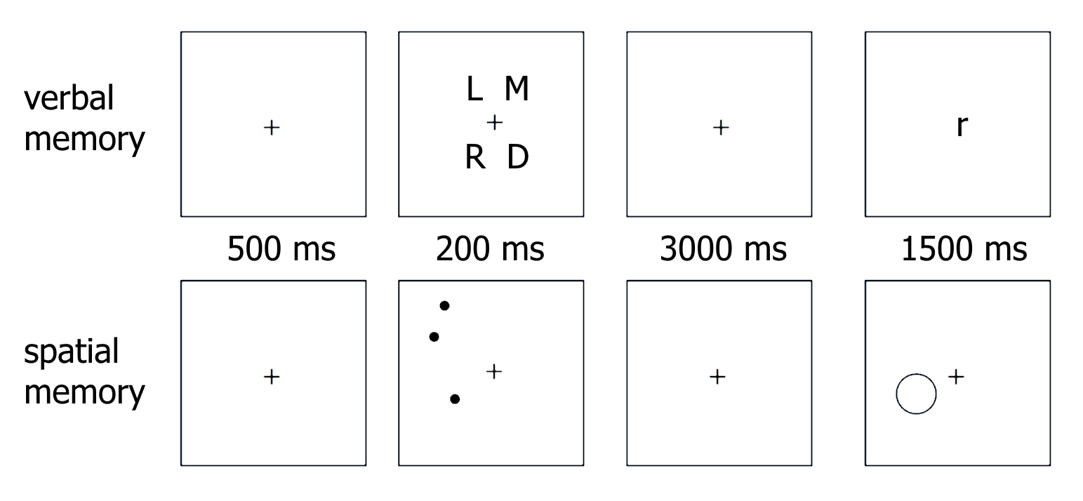 diagram of verbal and spatial tasks