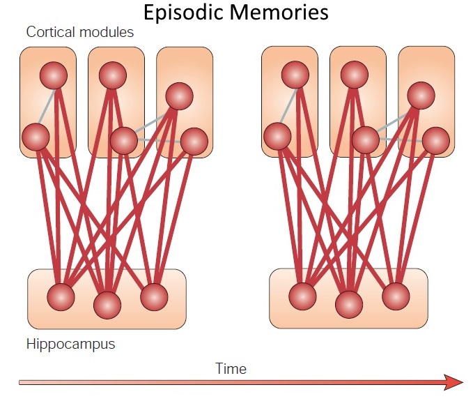 Multiple Trace Theory of Consolidation