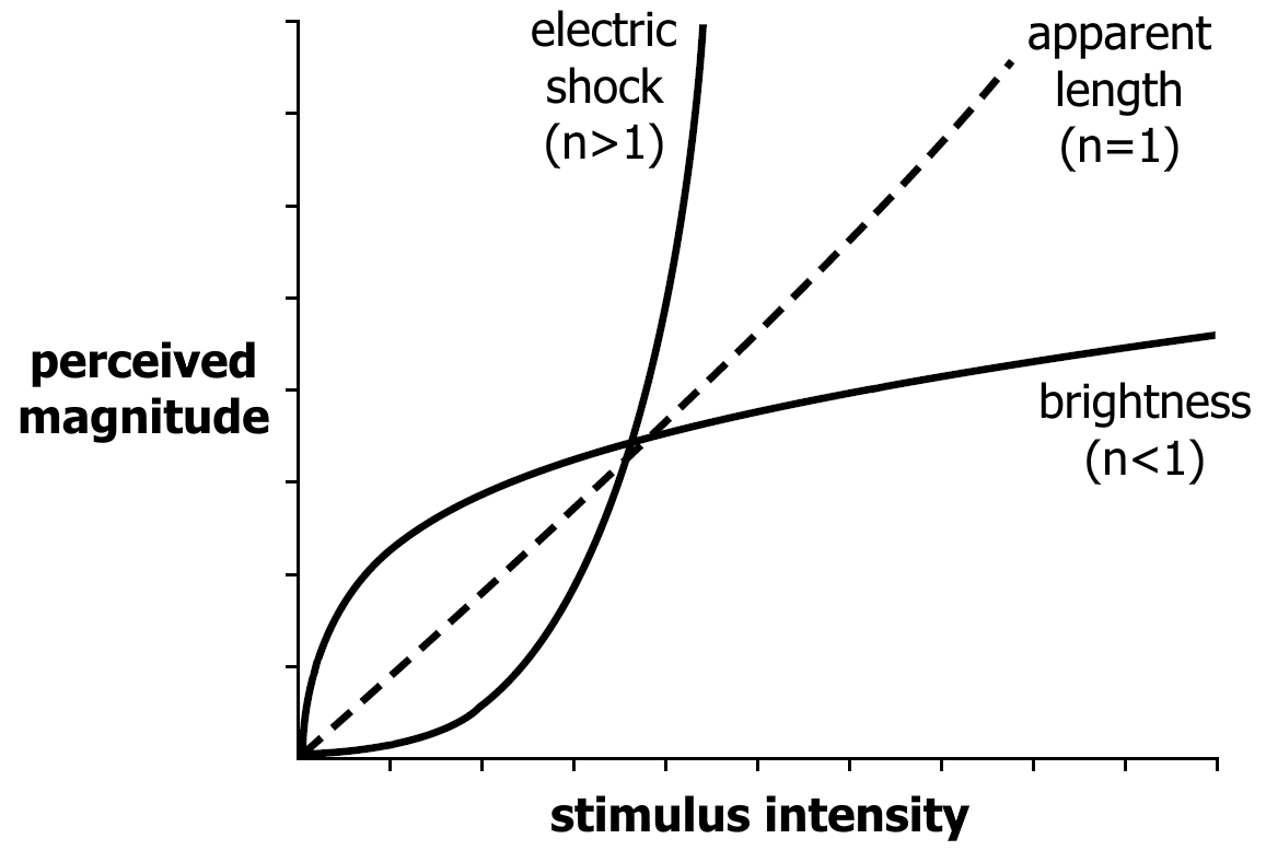 Stevens’s Law graph