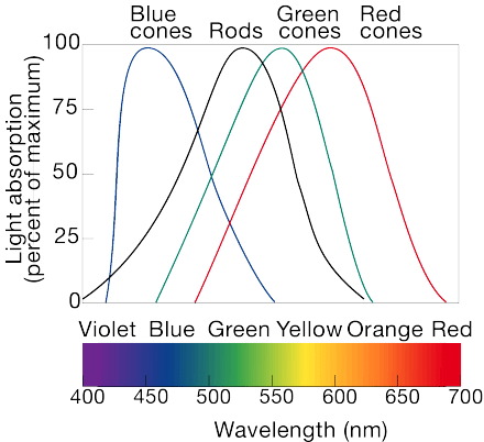 absorption spectrum