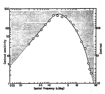 Contrast Sensitivity Function