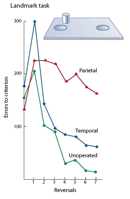 effects on landmark task