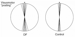 visuomotor posting results