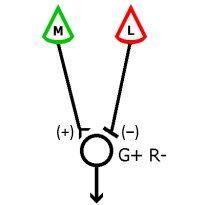 G+ R- circuit