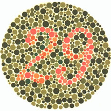 Ishihara dot pattern