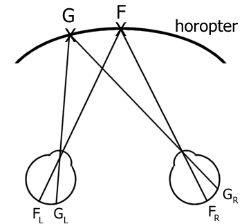 stimuli on horopter