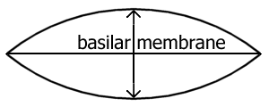 frequency theory