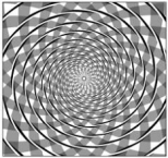 Fraser Spiral illusion