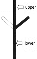 Poggendorff/Müller-Lyer illusion