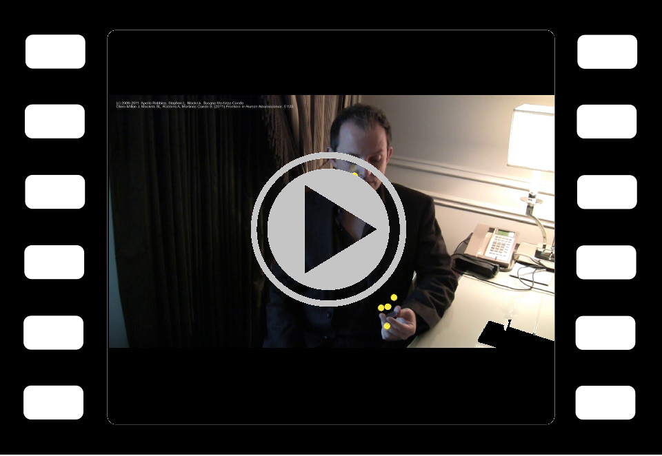 Otero-Millan et al. (2011) movie 4