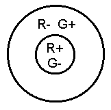 double colour-opponent