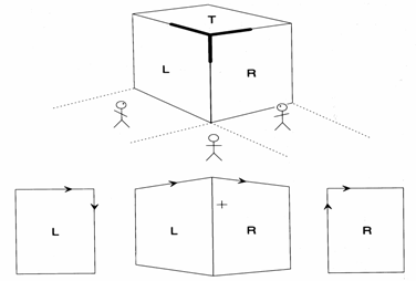 general vs. accidental viewpoints