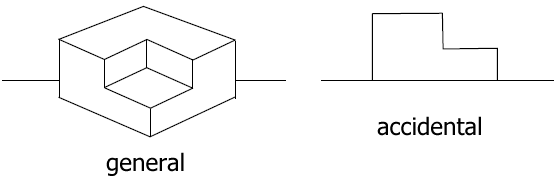 general vs. accidental viewpoints