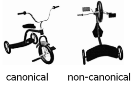 canonical vs. non-canonical viewpoints