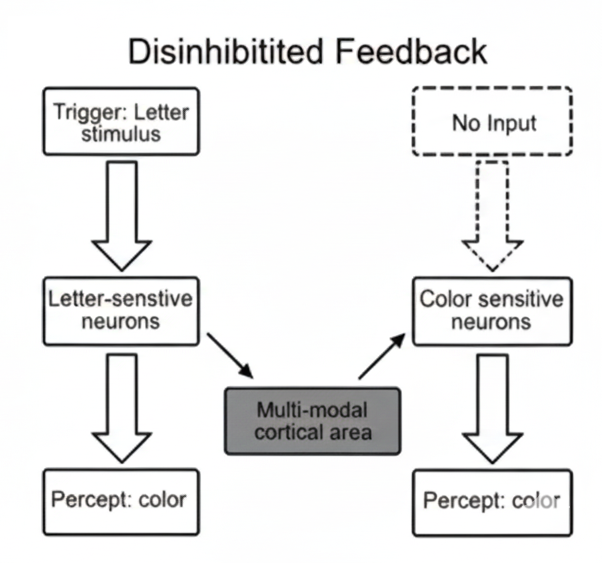disinhibited feedback