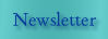 Project Newsletter