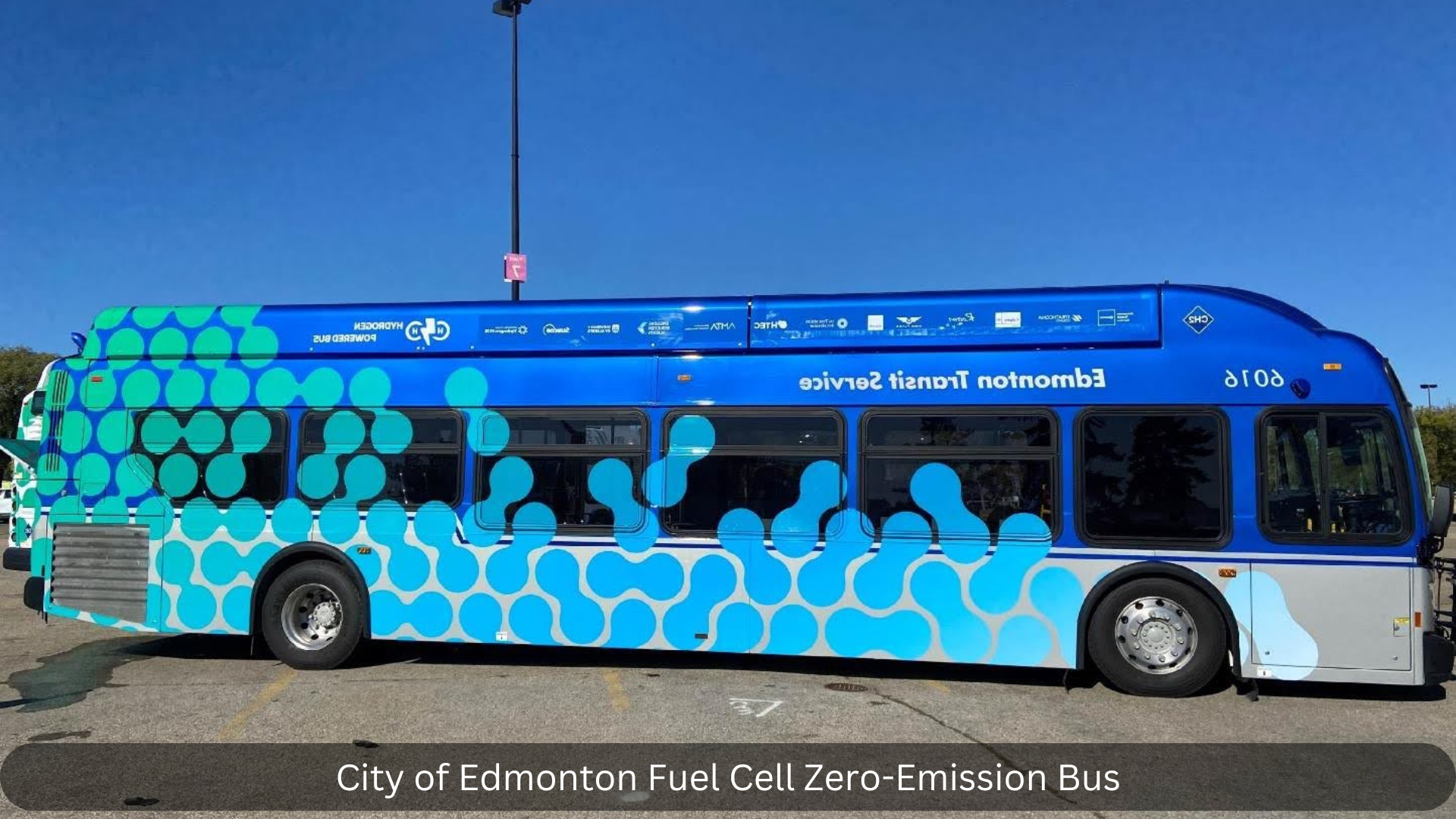 AZEHT bus in operation