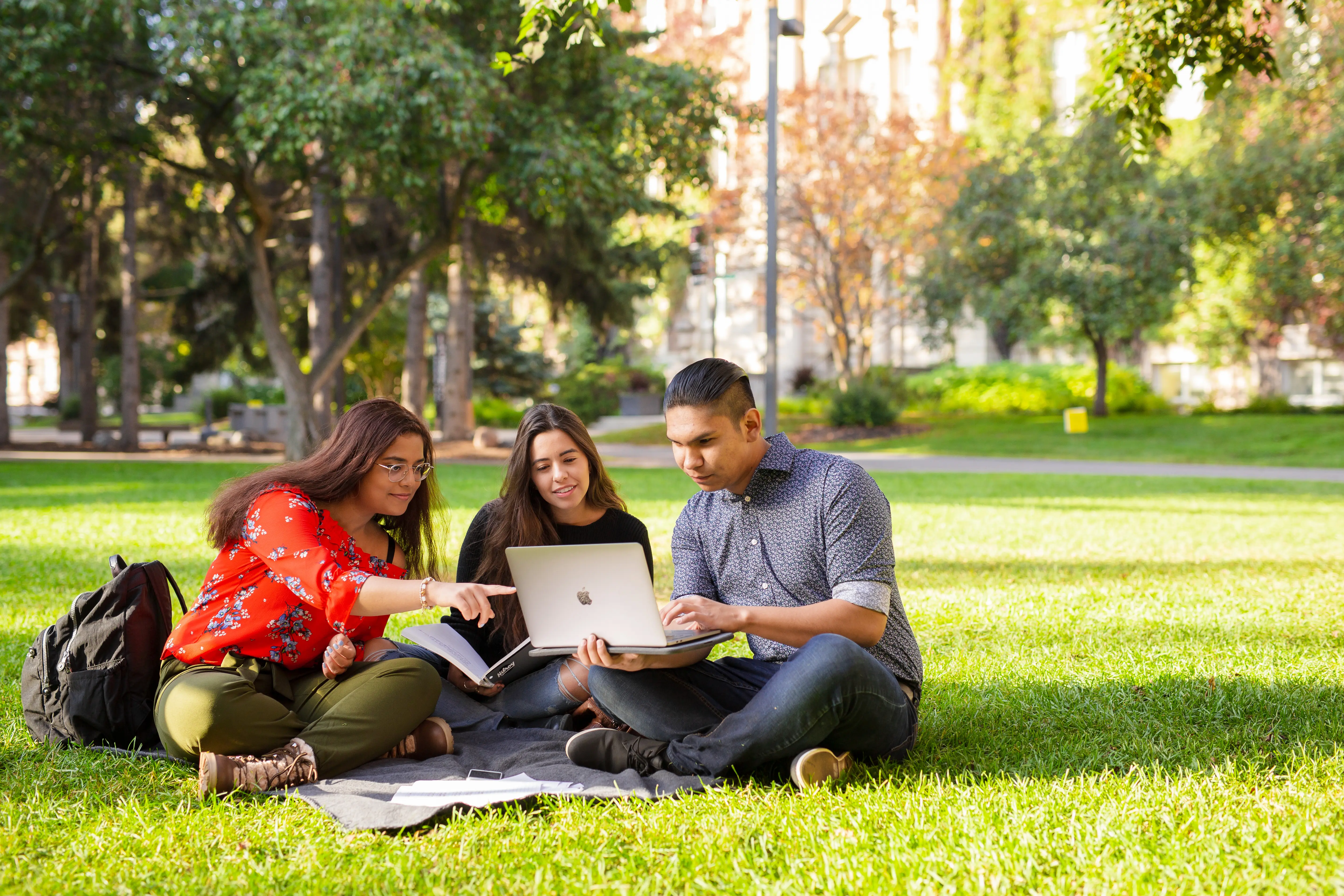 students looking at laptop sitting on grass in school quad