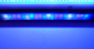 Description: SAM_0148