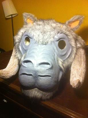 Description: IMG_2256