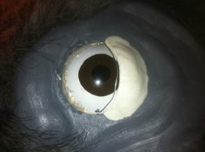 Description: SAM_0154