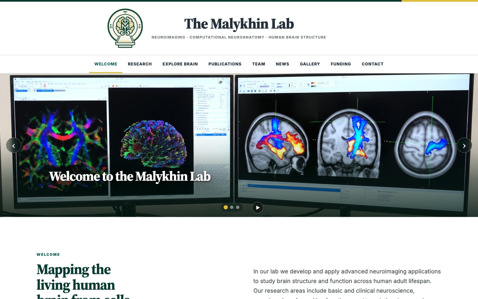 The new Malykhin Lab website homepage