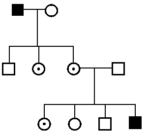 05 sex-linked inheritance