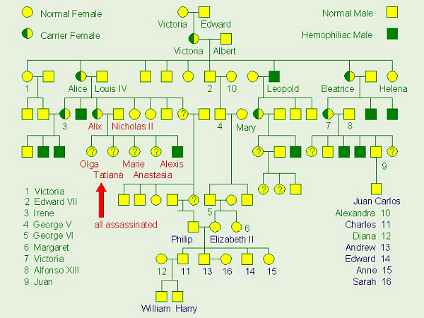 Queen Victoria Hemophilia Pedigree Chart