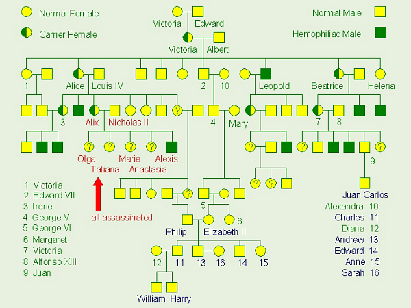 Queen Victoria Hemophilia Chart