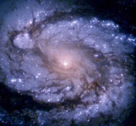 The Spiral Galaxy M100