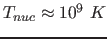 $T_{nuc} \approx 10^9~K$