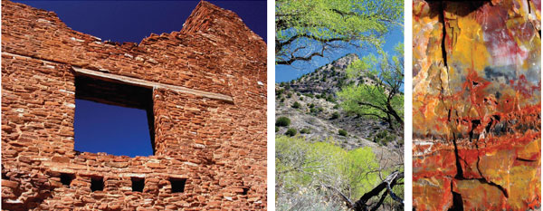 (l-r): Salinas Pueblo Mission, New Mexico; Riparian spring, Gila River Valley, New Mexico; Detail, Petrified Forest, Giant Logs Trail, Arizona.