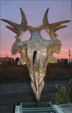 A rare cast of the skull of Styracosaurus albertensis has returned to Alberta