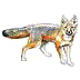 swift
fox