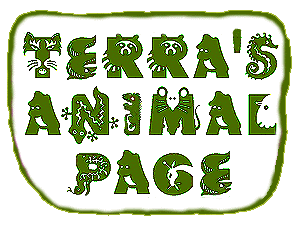 Terra's Animal Page