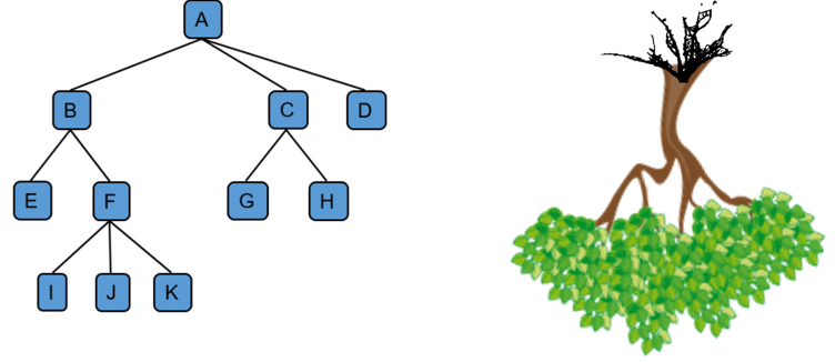 Tree data structure example along with a picture of a real tree upside down