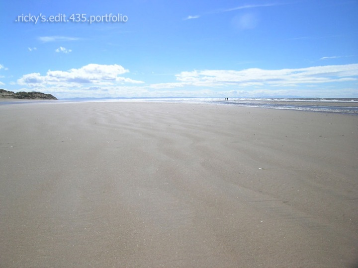 enter .ricky's.edit435.portfolio