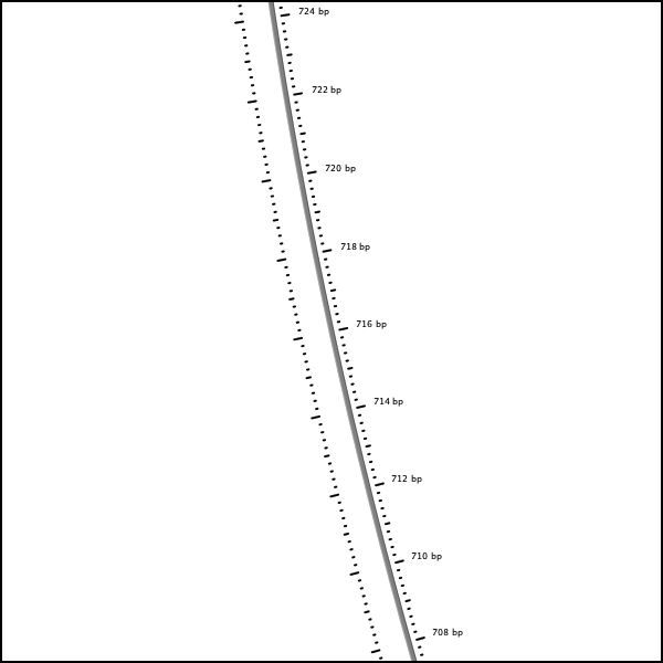 CGView map