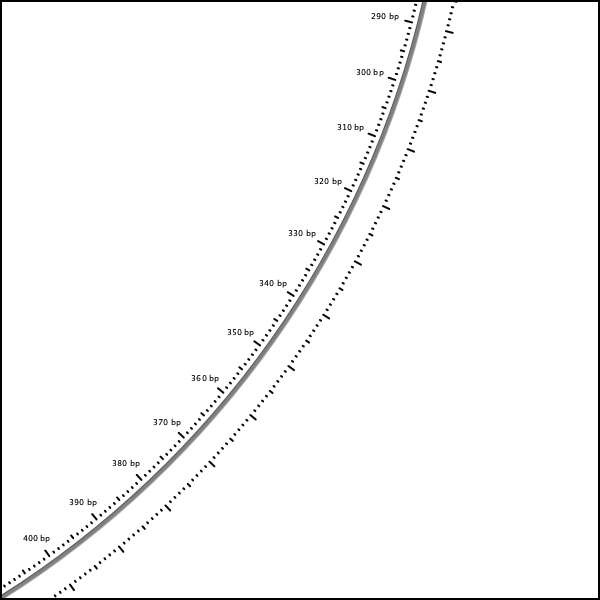 CGView map