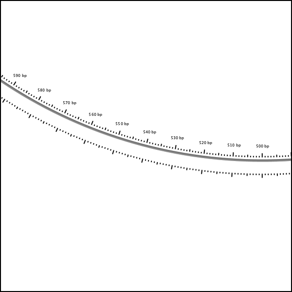 CGView map