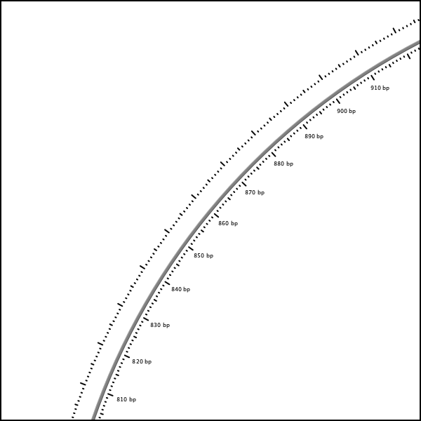 CGView map
