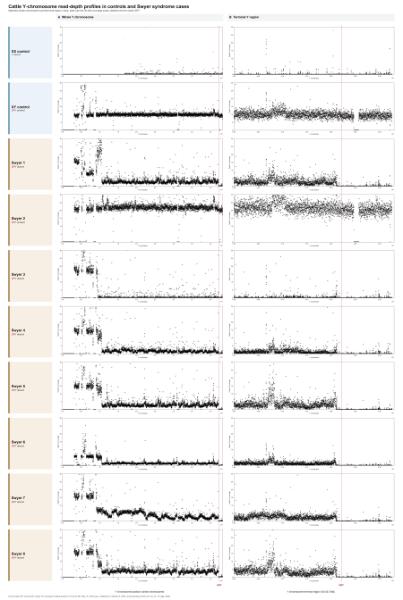 Cattle Y-chromosome read-depth profiles comparing controls and Swyer syndrome cases