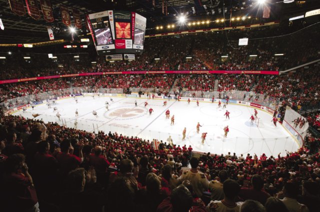 Inside the Saddledome